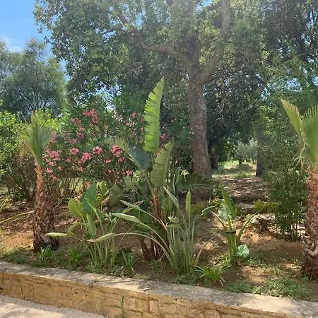 Carioca St Tropez * Сен-Тропе